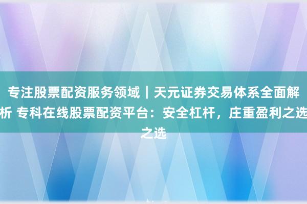 专注股票配资服务领域｜天元证券交易体系全面解析 专科在线股票配资平台：安全杠杆，庄重盈利之选