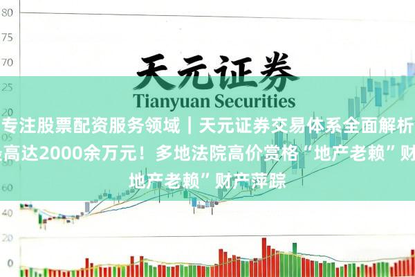 专注股票配资服务领域｜天元证券交易体系全面解析 赏金最高达2000余万元！多地法院高价赏格“地产老赖”财产萍踪