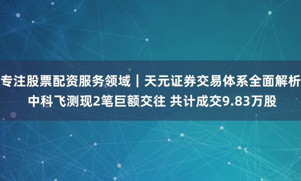 专注股票配资服务领域｜天元证券交易体系全面解析 中科飞测现2笔巨额交往 共计成交9.83万股