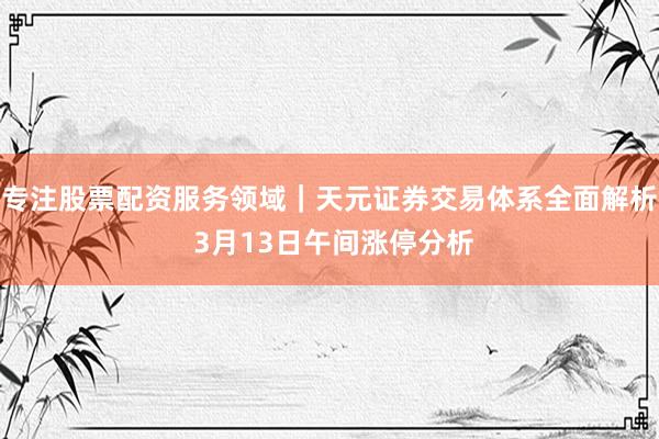 专注股票配资服务领域｜天元证券交易体系全面解析 3月13日午间涨停分析