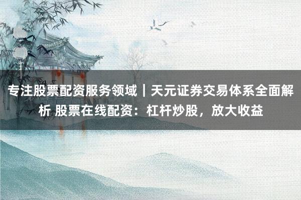 专注股票配资服务领域｜天元证券交易体系全面解析 股票在线配资：杠杆炒股，放大收益