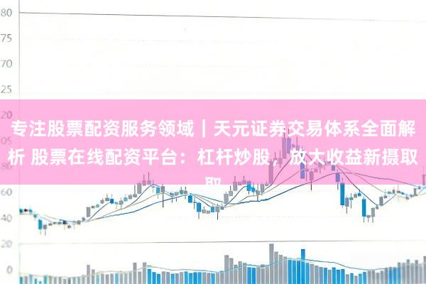 专注股票配资服务领域｜天元证券交易体系全面解析 股票在线配资平台：杠杆炒股，放大收益新摄取