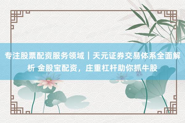 专注股票配资服务领域｜天元证券交易体系全面解析 金股宝配资，庄重杠杆助你抓牛股