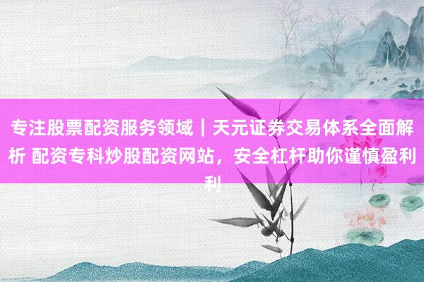 专注股票配资服务领域｜天元证券交易体系全面解析 配资专科炒股配资网站，安全杠杆助你谨慎盈利
