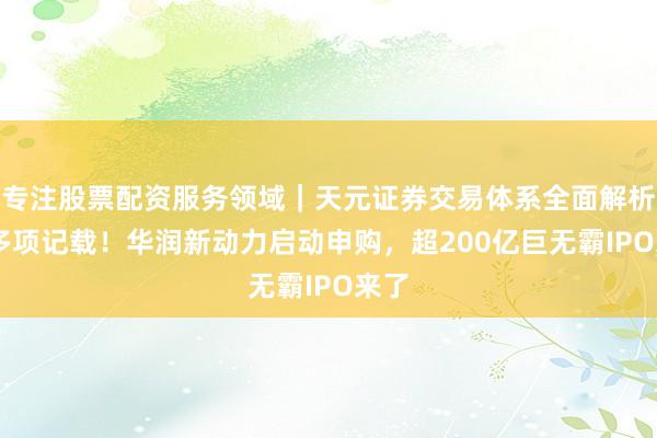 专注股票配资服务领域｜天元证券交易体系全面解析 创多项记载！华润新动力启动申购，超200亿巨无霸IPO来了